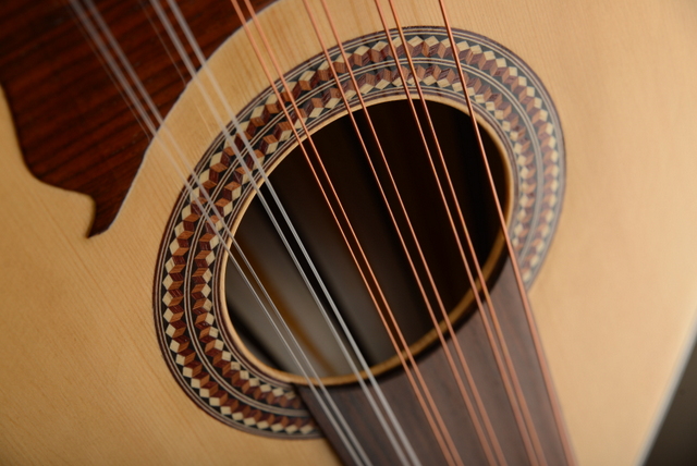 Rosette type guitare